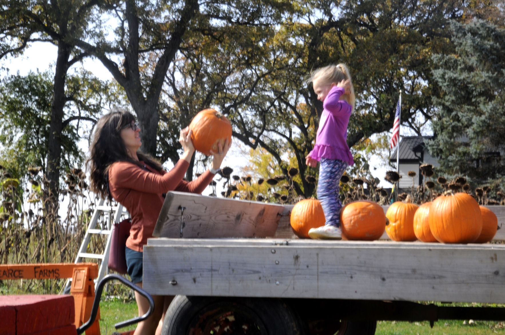 Pearce's Pumpkin Fest
